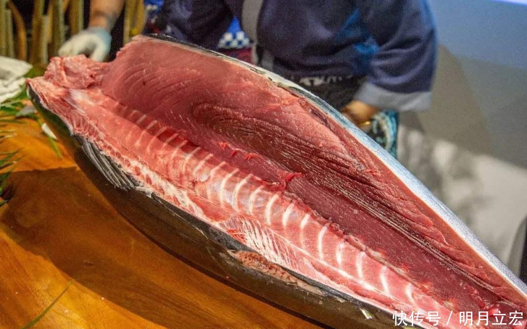 不到|世界上最贵的鱼,一两卖出2800元,有钱都吃不到但却白送