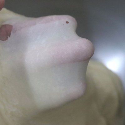 段时间|餐桌上的保留项目椰浆面包，隔段时间就做一次