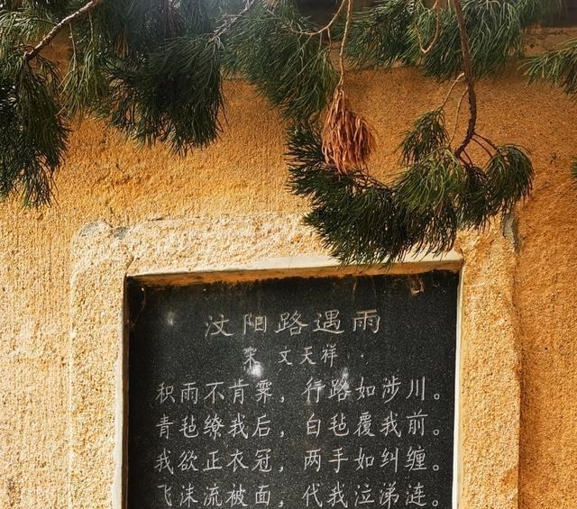 寻访历史遗迹,众多古人吟咏的汶河边取得重大收获