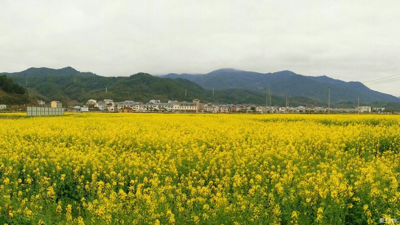 浙江|爱在山花烂漫时