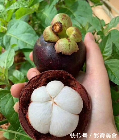 山竹|夏季,这3种碱性水果要多吃,再贵也要吃!营养美味顺利过夏天!