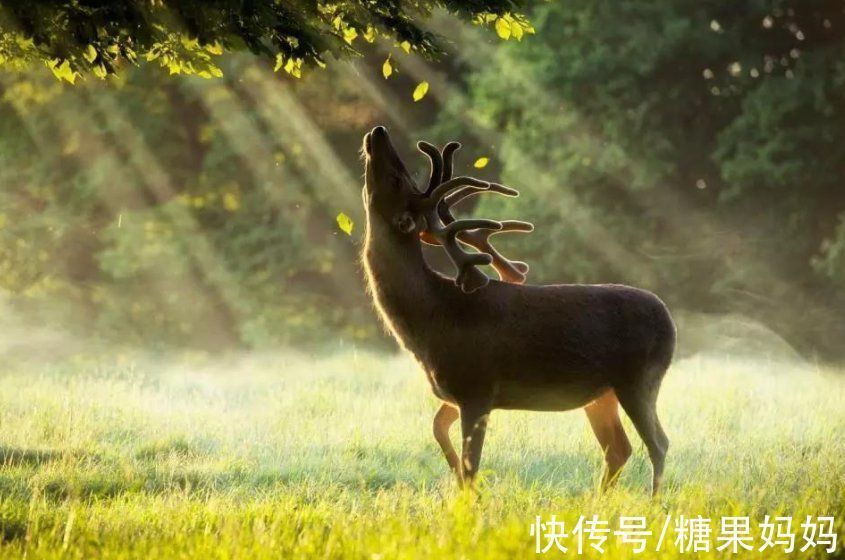 孩子|孩子的“大自然缺失症”悄悄蔓延，养娃过程中，勿忘与自然同行