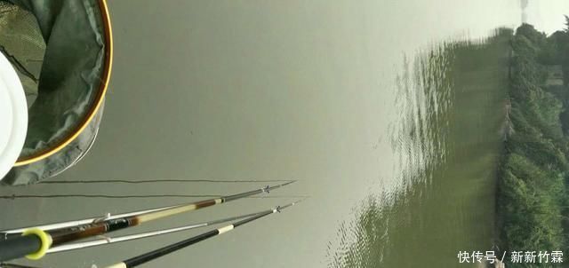 双铅钓为啥比跑铅钓更灵敏双铅钓该怎样调漂建议新手收藏
