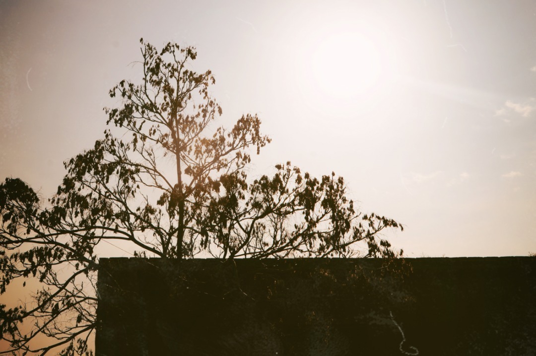 脚踏|一路银川,水洞沟遗址脚踏黄土来,机关四起藏兵洞