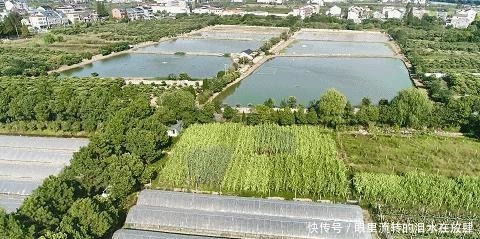 余杭人的心头好,即将上市!曾经风靡全国,很多人小时候都吃过!