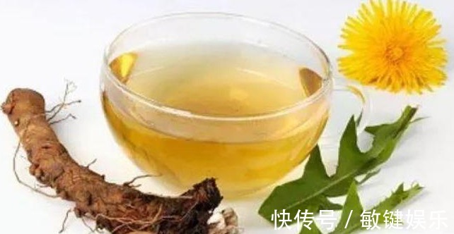蒲公英水|高二女生,因一壶蒲公英水,被送入医院,蒲公英泡水,有4大禁忌