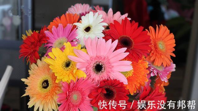 颜值担当|从8月28日开始,家养此款花卉,比香水好闻,姿色艳丽