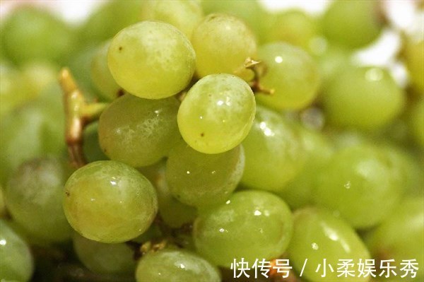 养颜|人到中年想长寿 ，四种食物要多吃，排毒养颜、滋补身体，试试看