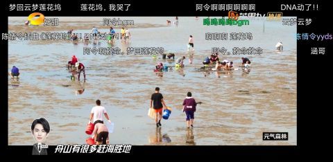 天天向上|《天天向上》驚現(xiàn)《陳情令》插曲，彈幕網(wǎng)友淚崩：久違了，蓮花塢