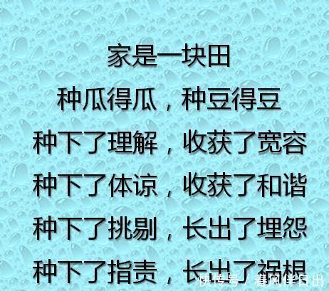 大小|家,不在于大小,在于温馨