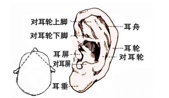 阳气|每天揉揉身体一个部位，助睡眠、养阳气，很多小病不治而愈