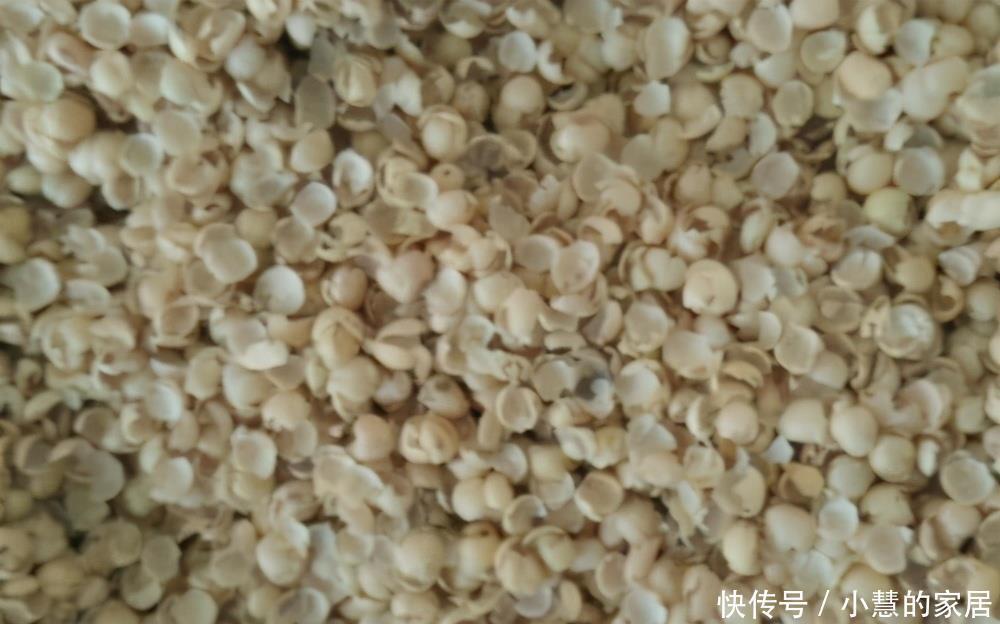 家里有这3种东西不要扔,你以为是垃圾,可它们是植物最好的肥料