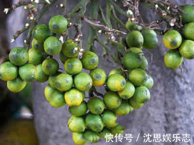 黄芪|央视列为“一级致癌物”，吃一口，赛喝马桶水3次