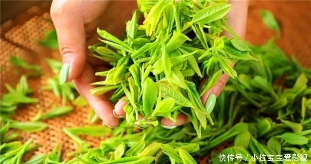 茶叶|小茶叶也能加工成大美学,清朝“茶叶之美”为何能盛行?