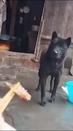 |搞笑GIF:美女!这是公共场所,不是你家啊!你没发现地板很硬吗?