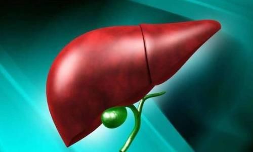 海带|李兰娟院士表示：秋季是养肝黄金期，4种养肝食物可多吃，对肝好