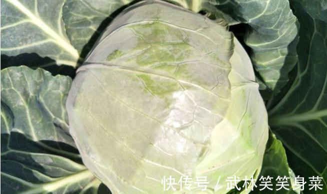 甲状腺肿大|卫生组织呼吁:不想甲状腺转恶,少吃“一黄、两绿”,尽快撤下桌