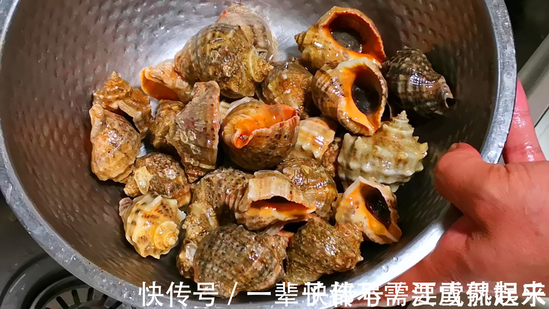 煮海螺时，用冷水还是热水以前没注意，难怪螺肉又腥又硬不好吃