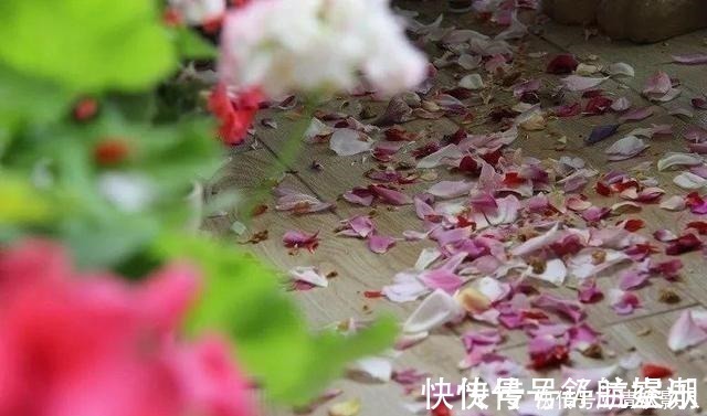 7㎡迷你“阳台造园”小阳台这样布置,也能美成的花园!