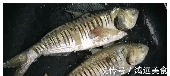 这鱼比草鱼刺少,比鲫鱼营养,比甲鱼肉多,价格不贵却被人遗忘
