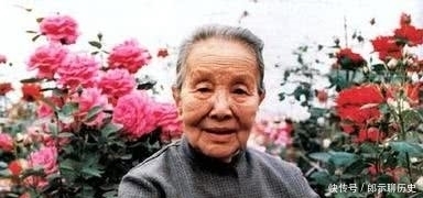 墓碑|冰心的孙子为何在她的墓碑上刻上“教子无方,枉为人表”八个字