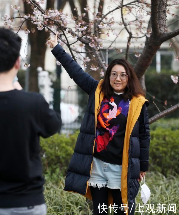 春花|申城春早，樱花渐入佳境，静安雕塑公园上演“梅樱争春”