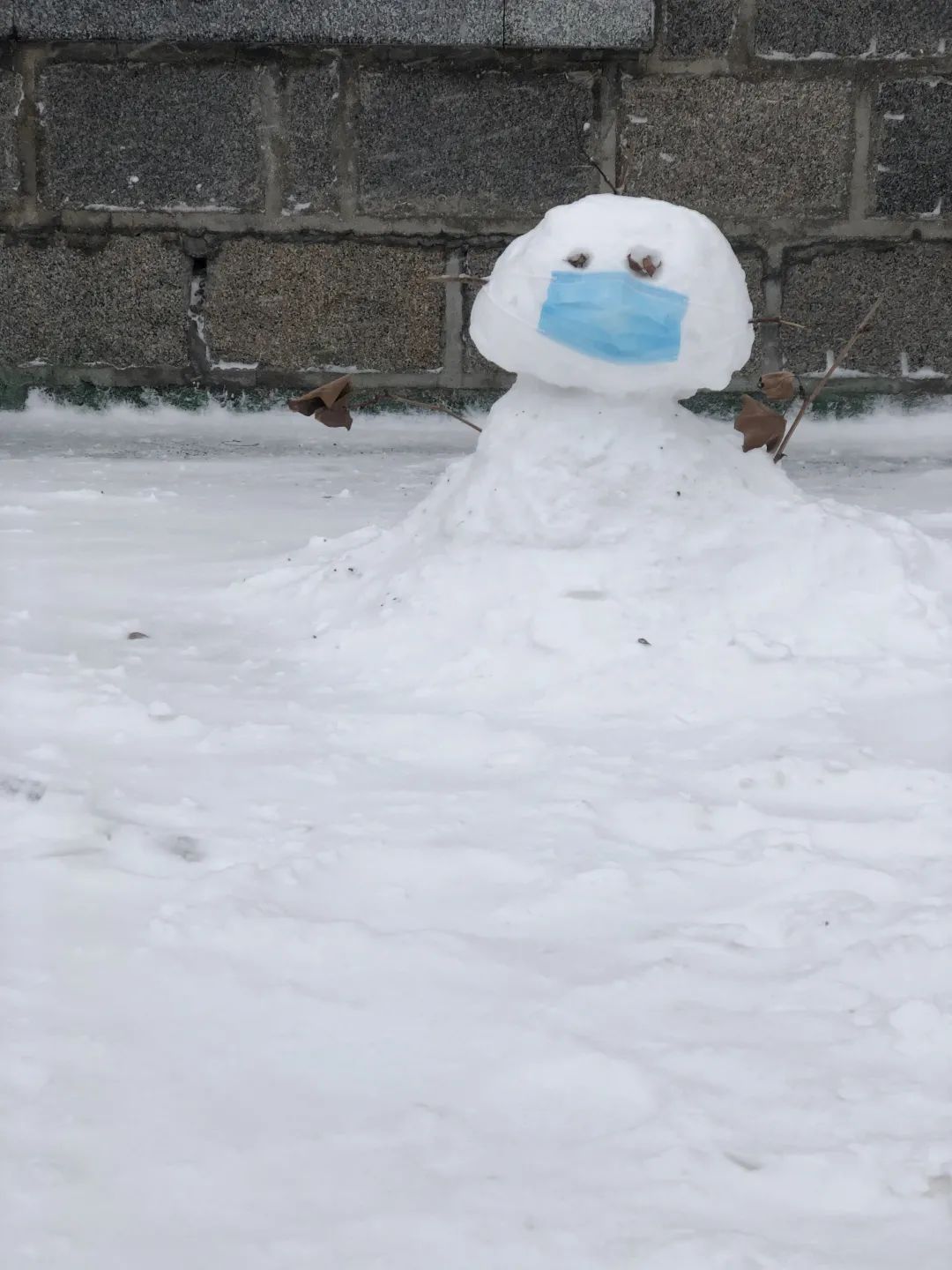 青岛理工大学|今日小雪｜青岛理工大学的雪，你还记得吗？