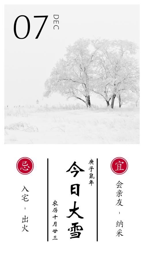  大雪|大雪丨我托人间寄讯，邀雪为庆，为你捎来清佳冬令