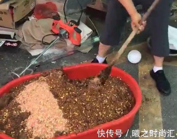 窝子|鱼不开口咋整?打窝、死守都没用,这4招才能快速见效