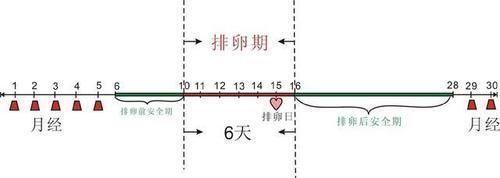 “助孕变成避孕”，29岁女性备孕3年没怀上，原因都出在手机上