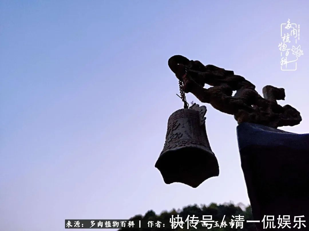 为了爱情|为了爱情来到陌生城市,偶遇多肉,地老天荒的爱恋!