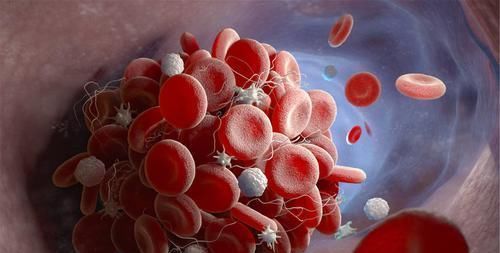 时去医院检|“溶栓高手”被找到,并非大蒜,没事吃点,或能给血管来个大扫除