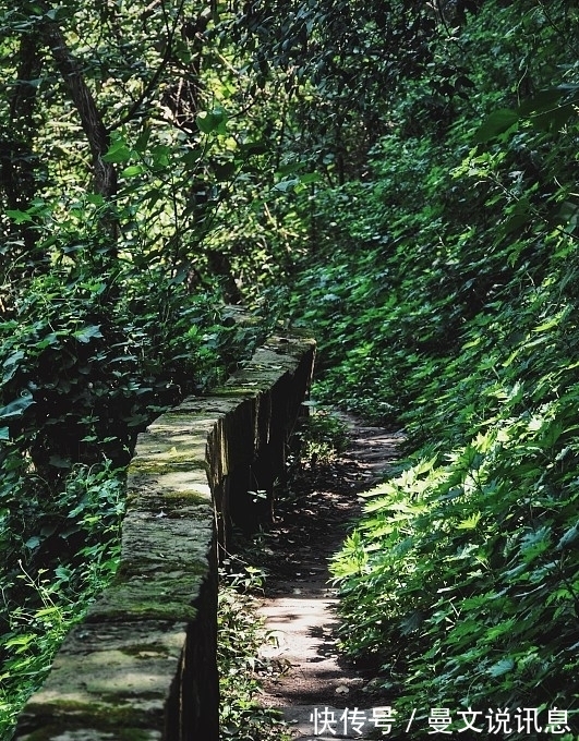 哲理成语|如东人喜欢的哲理成语(4):孝不能等、大势所趋