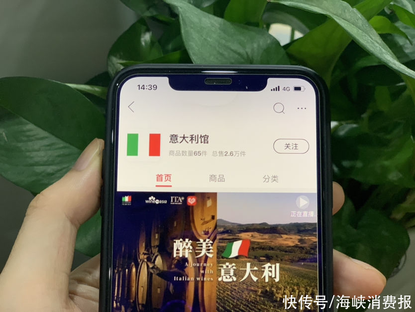 直播|拼多多上线意大利国家馆 意大利对外贸易委员会直播带动葡萄酒销量增长160%