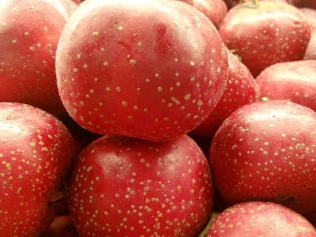 南瓜子|4物是天然的“胰岛素”,工资少也要舍得多吃,血糖或许慢慢下降