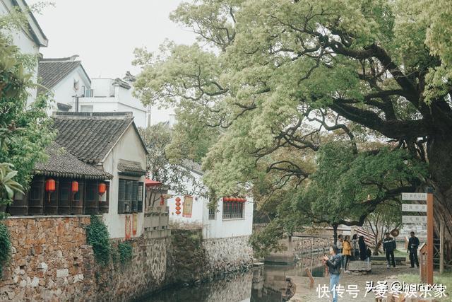 明月桥|太湖边的宁静古村，千年古樟参天，传说中吴王夫差与西施的赏月地