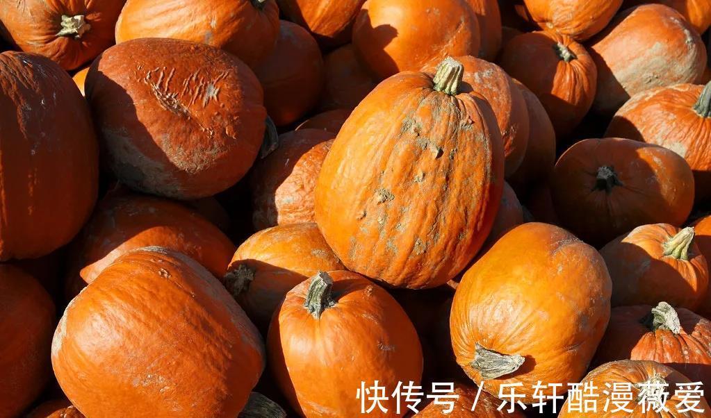 养胃|夏季这5种“黄金”食物,补脾养胃,吃出好气色