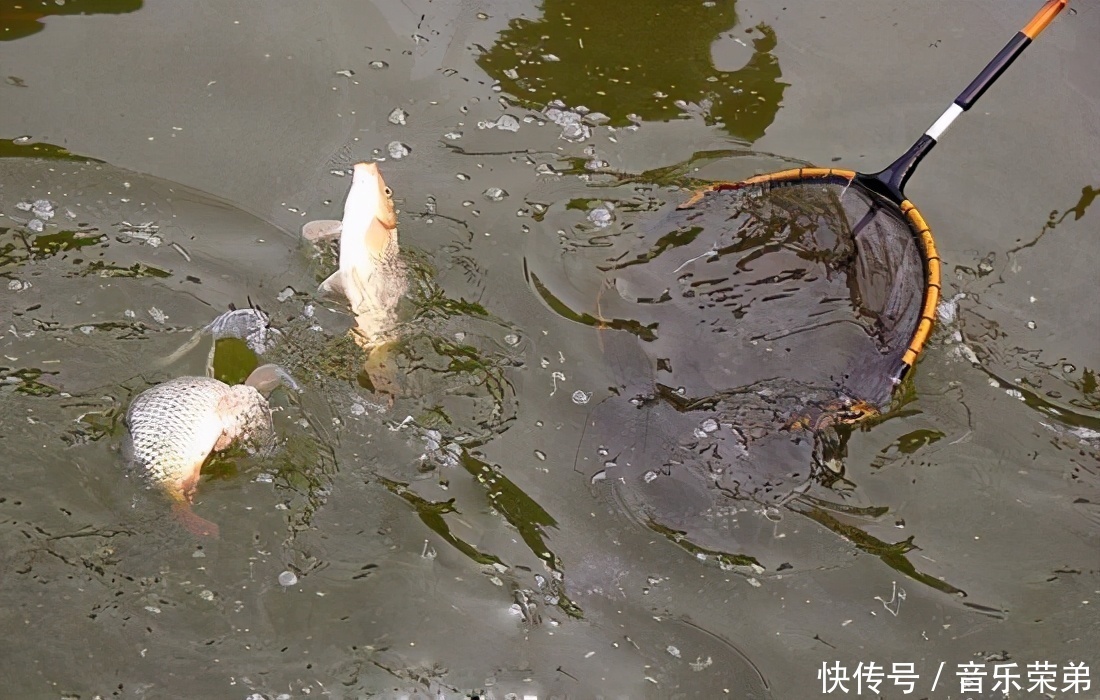 做到这三点,双飞中鱼的概率能翻一倍