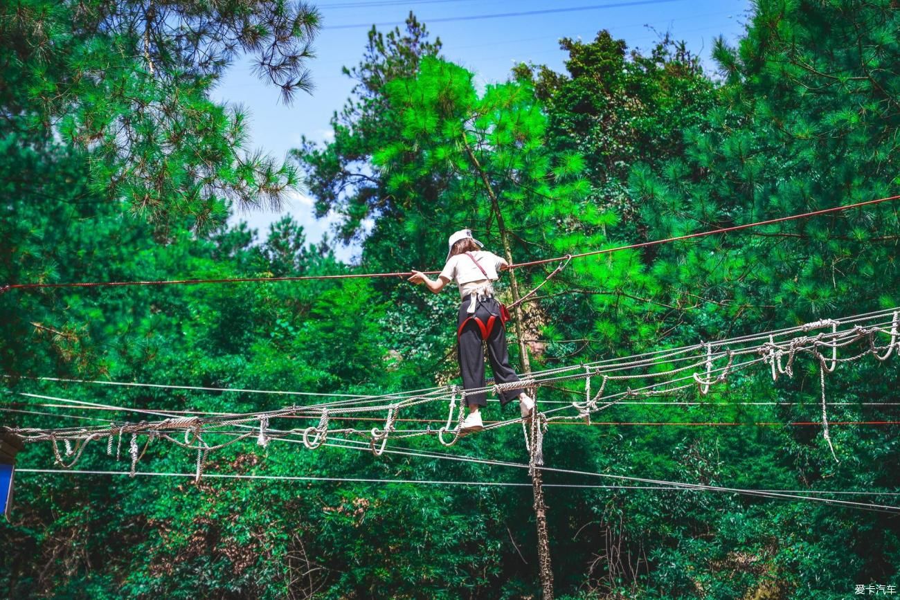 梦幻奥陶纪：玩不尽的酣畅淋漓