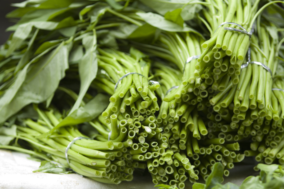 排毒|这菜清肠又排毒，一周只要吃一次，排出十年湿毒，给身体大扫除！