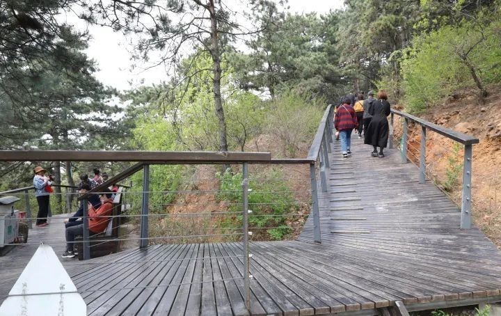 天际|山间梨花陆续开 乾隆绿道待客来