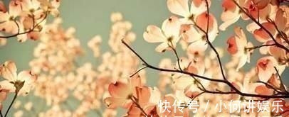 鼻祖$白居易一首词,是中国朦胧诗鼻祖,竟然引来那么多人模仿!