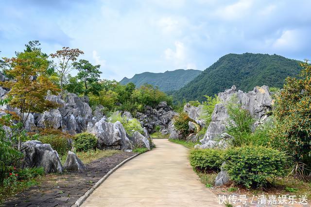 地质|“华东第一石林”千岛湖石林，江南罕见的地质奇观，壮观且秀丽