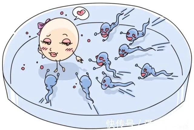 在中国现在做试管婴儿需要多少钱呀（试管婴儿：常见问题解答）