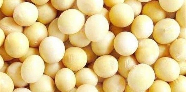 前列腺|前列腺炎的天然“抗生素”，每天吃一点，助你呵护好“生命线”