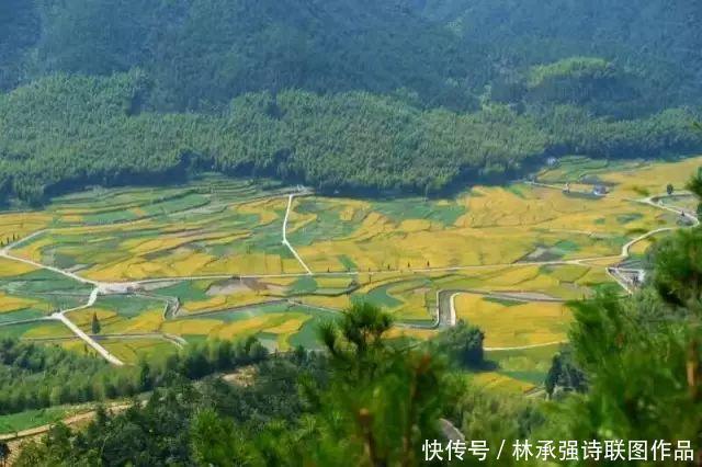 温州|温州泽雅美景