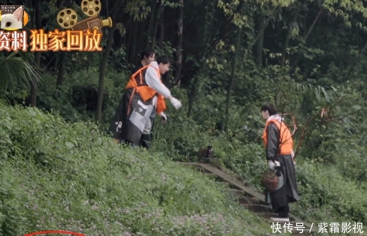 密码 “收视密码”不白叫!杨紫现身《向往5》,新一期收视让人乐开花