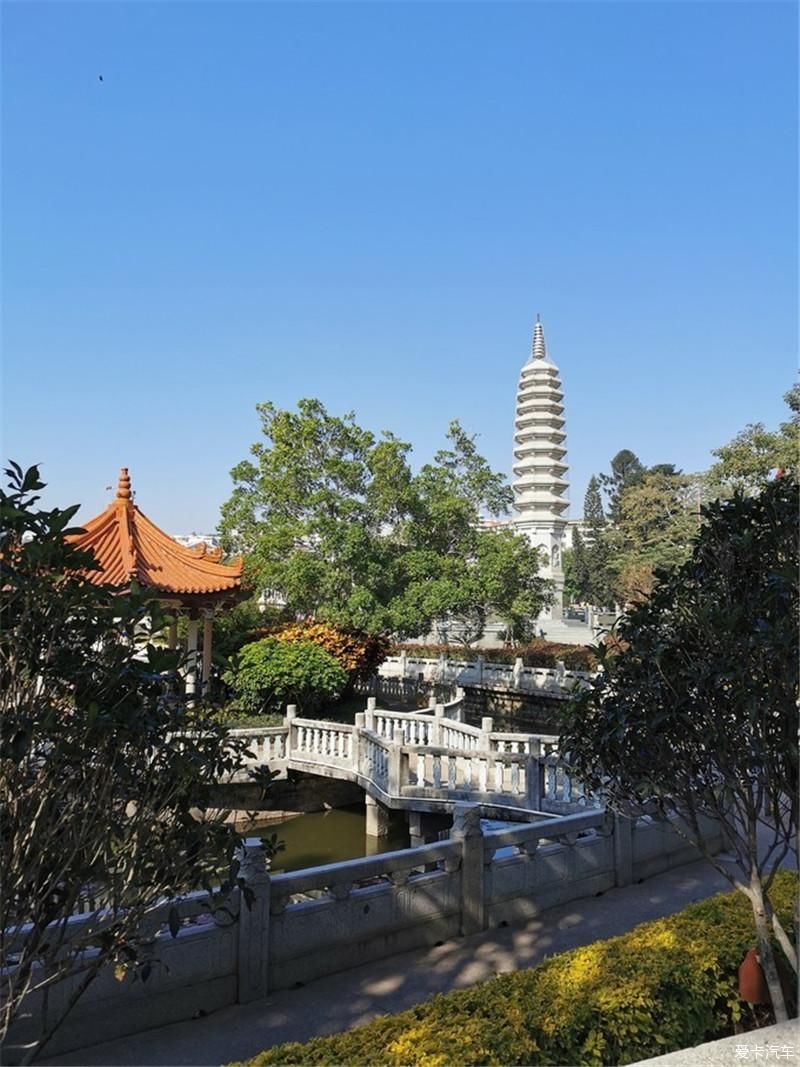 花海|厦门自由行