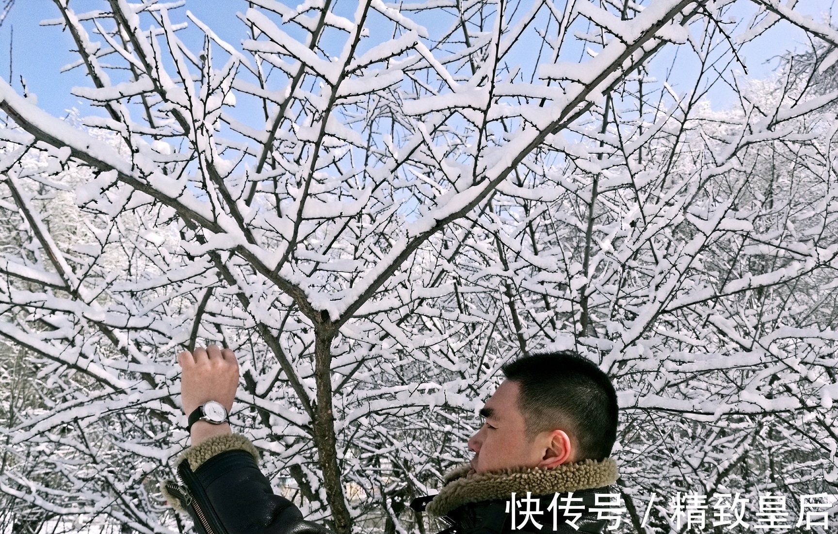 表扣 海鸥手表质量好吗,海鸥机械表时尚款试用评价