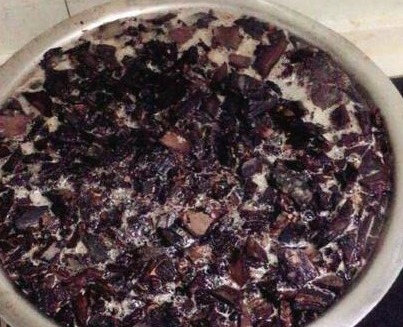 2种小东西,盆里加一点,君子兰叶肥如网,1年2次花,新芽冒不停